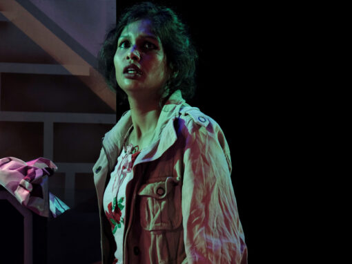 ಬ್ಲೈಂಡ್‍ಶಾಟ್